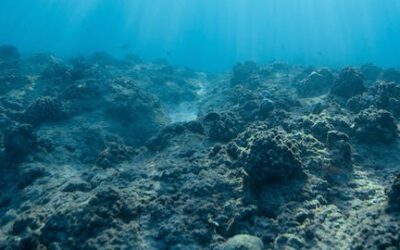 Studying Climate Change Using the LDEO Deep Sea Sample Repository” with Dr. Gerard Bond and Rusty Lotti Bond (Sep 2003)