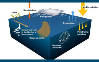 Air-Sea Interactions with Martin Visbeck (Feb 2001)